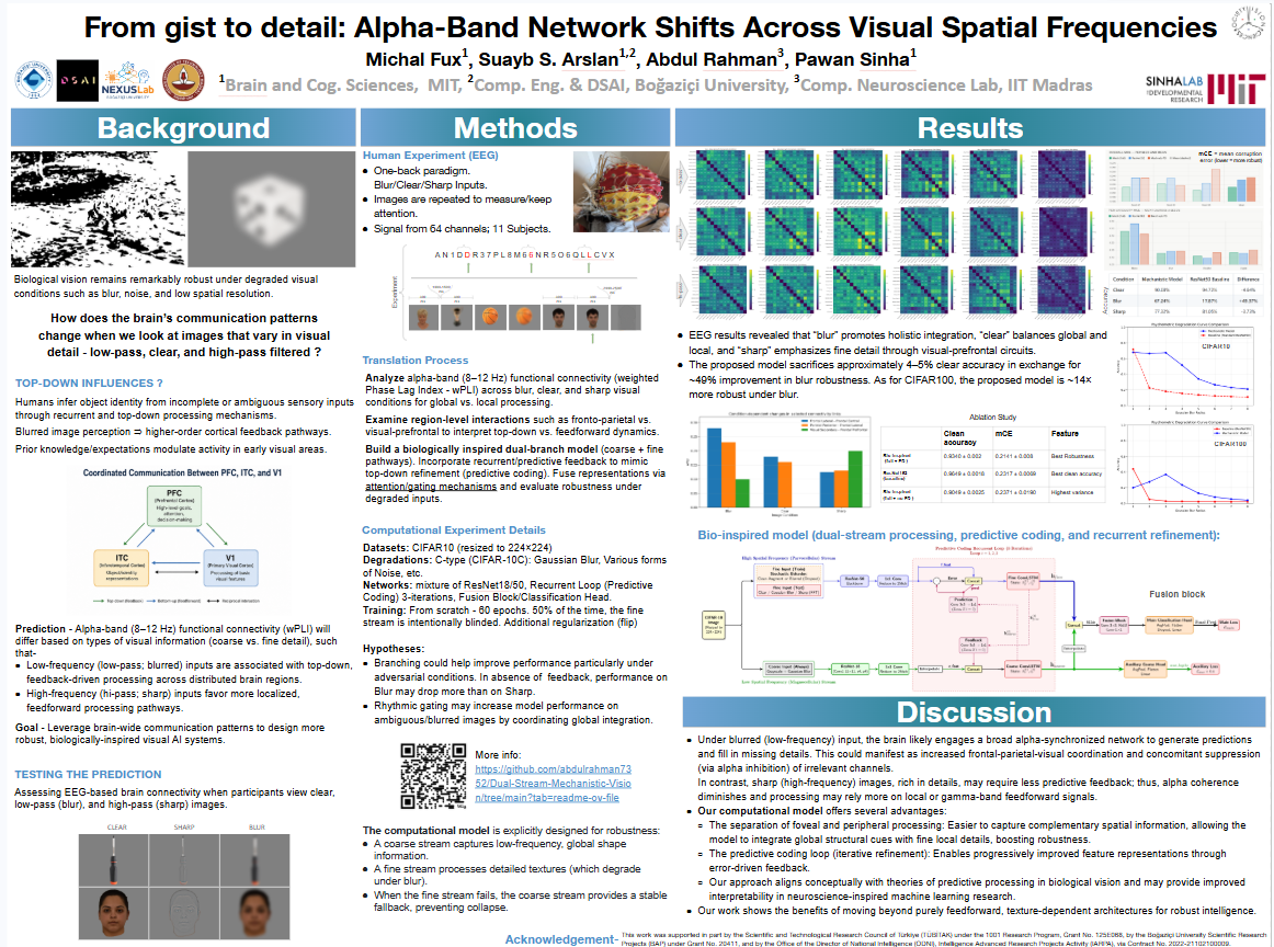 From gist to detail: Alpha-Band Network Shifts Across Visual Spatial Frequencies poster thumbnail